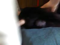 Anal 7 GayBeast.com - Animal Men
