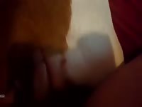 Anal 8 GayBeast - Bestiality Boy