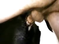 Anal Dog 5 Gay Beast Com - Animal Man
