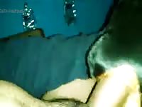 Anal My Baby Gay Beast Com - Dude Fucks Pet