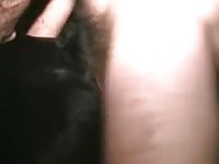 Anal Rottweiler GayBeast - Bestiality Man