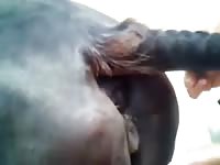 Anashemalelo21 GayBeast - Beastiality Man