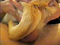 Animal Dog Sex Man Cums In Female Dog Pussy GayBeast - Man Fucks Animal
