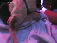 Area Male Mutt 3 Vids W Screens Admtalon Adm Mutt1 Lickingme- Men Fucks Pet