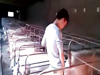 Asian Bangs The Pork GayBeast - boy Fucks Pet