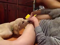 Asian Eaten Out By Dog Part 3 Petsex Com - Man Fucks Animal