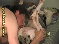 Attic Pearl Petlust P250- Zoophilia Boy