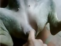 Baby Dog GayBeast Rip - Zoophilia Boy