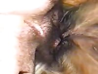 Bad Girl 2 GayBeast.com - Beastiality Sex Tube With Dude