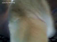 Ball And Ass Lick And Dry Humping Doolieaj Ass Ball Lick- Beastiality Man