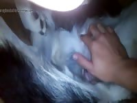 Bandits Pussy Rub Gay Beast Com - boy Fucks Animal