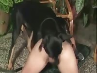 Beastmode Petsex Com - Beastiality Dude