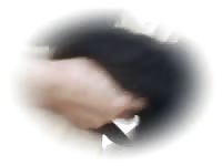 Big Cock In Black Dog GayBeast - Zoophilia Sex Tube With Dude