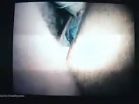 Big Cock In Mare Pussy 1 GayBeast Rip - boy Fucks Pet
