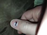 Big Dick 1 Gay Beast Com - Bestiality Porn Movie With Men