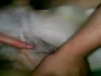 Bitch Dog GayBeast Rip - Man Fucks Animal