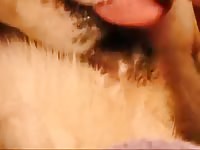 Bitch Gets Fingered And Fucked GayBeast.com - boy Fucks Pet