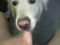 Bitch Lick GayBeast Rip - Animal Men
