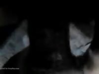 Black Big Dick 1 GayBeast.com - Beastiality Sex Video With Dude