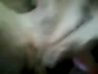 Black Cock Black Dog GayBeast Rip - Man Fucks Pet