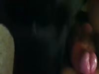 Black Lab Sucking Cock Again GayBeast - Bestiality Man