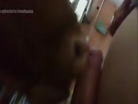Blowjob 2 GayBeast - Dude Fucks Animal