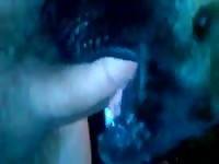 Blowjob 5 GayBeast.com - Dude Fucks Pet