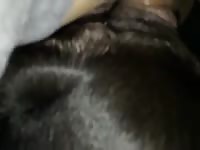 Boy And Dog 12 GayBeast - Bestiality Sex Movie With Men
