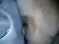 Boy And Dog 16 Gay Beast Com - Bestiality Man