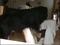 Boy And Dog 7 GayBeast Rip - Men Fucks Pet