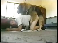 Boy And Dog 8 GayBeast.com - Animal Sex With Man