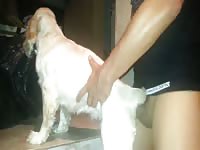 Boy Fuck Dog 3- Dude Fucks Pet
