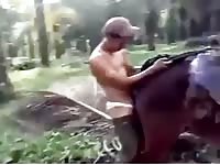 Boy Fucking A Mare GayBeast Rip - Bestiality Dude