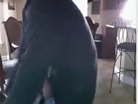 Boy Have Fun With Dog GayBeast - Animal Porn Video With Men