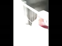 Boy Viet Nam Fuck Pig GayBeast Rip - Beastiality Man