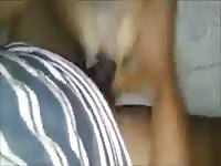 Brazilian Guys With Bitch Gay Beast Com - Man Fucks Animal