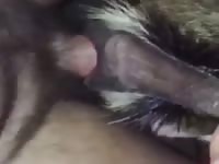 Breeding A Friends Goat GayBeast.com - Beastiality Man