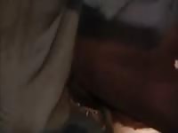 Brown Cow Gets Stuffed GayBeast - Men Fucks Animal
