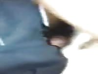 Buceta Molhadinha Da Cadela No Cio GayBeast - Zoophilia Men- Bestiality Sex Video With Dude