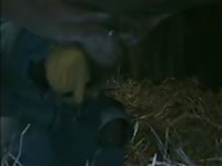 Bull Blowjob Gay Beast Com - Bestiality Sex With Men