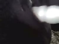 Bull Fisting GayBeast.com - Animal Sex Tube With Dude