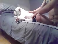 Bull Pit Toy And Fuck GayBeast - Men Fucks Pet