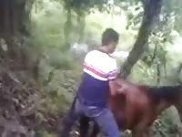 Burra 1 Gay Beast Com - Zoophilia Porn Movie With Man