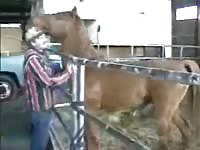 Caballo Folla A Gay GayBeast - Beastiality Porn With Man
