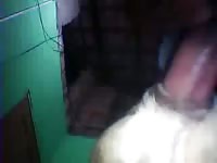 Cadela2 GayBeast - boy Fucks Pet