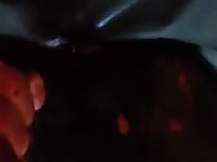 Calf Fucking GayBeast Rip - Bestiality Porn Tube With Man
