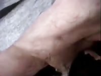 Calfs Blowjob GayBeast Rip - Zoophilia Boy