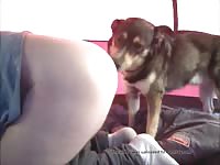 Camping GayBeast.com - Animal Sex Tube With Dude