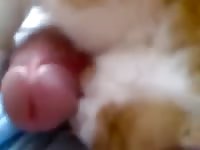 Cat 4 GayBeast Rip - Men Fucks Animal