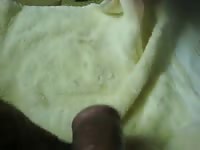 Cat Prefers Mans Cock Over Cat Food GayBeast.com - Man Fucks Pet